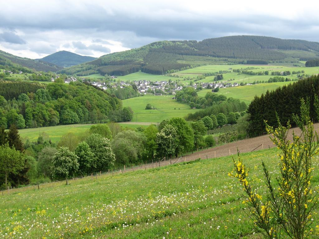 Ferienwohnung Moos-Hochsauerland Wiemeringhausen Kamer foto