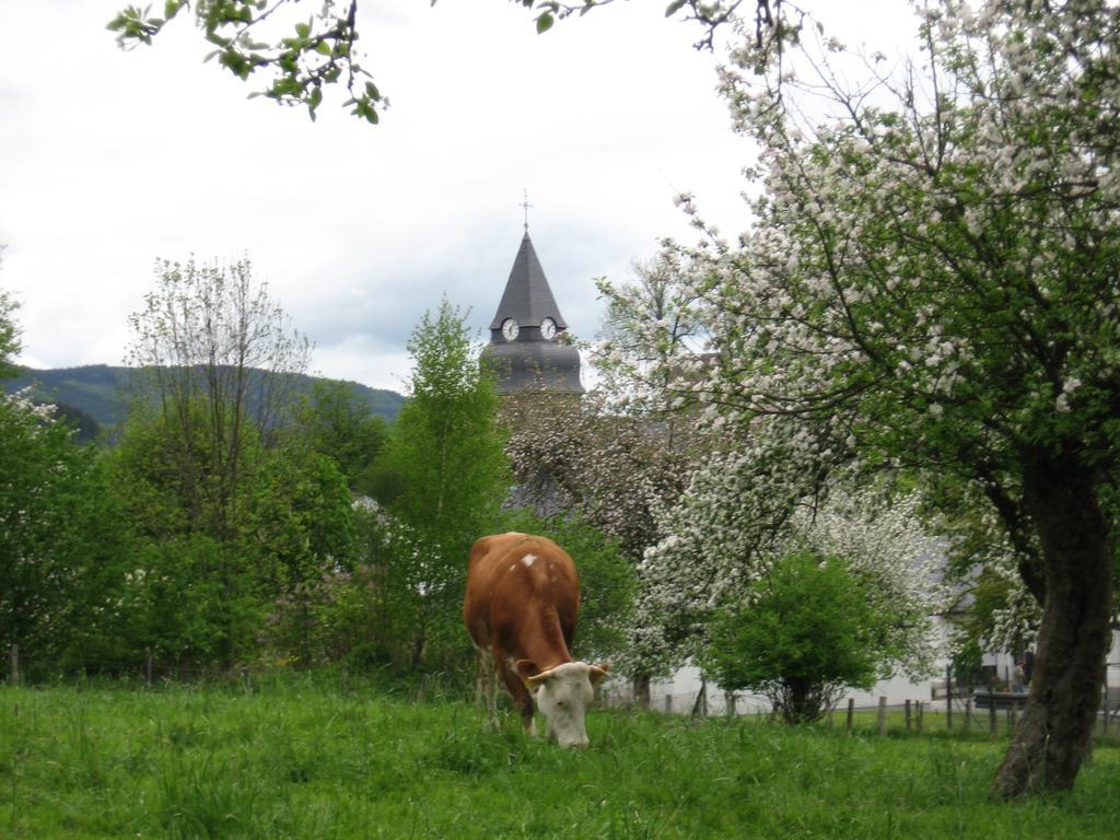 Ferienwohnung Moos-Hochsauerland Wiemeringhausen Kamer foto