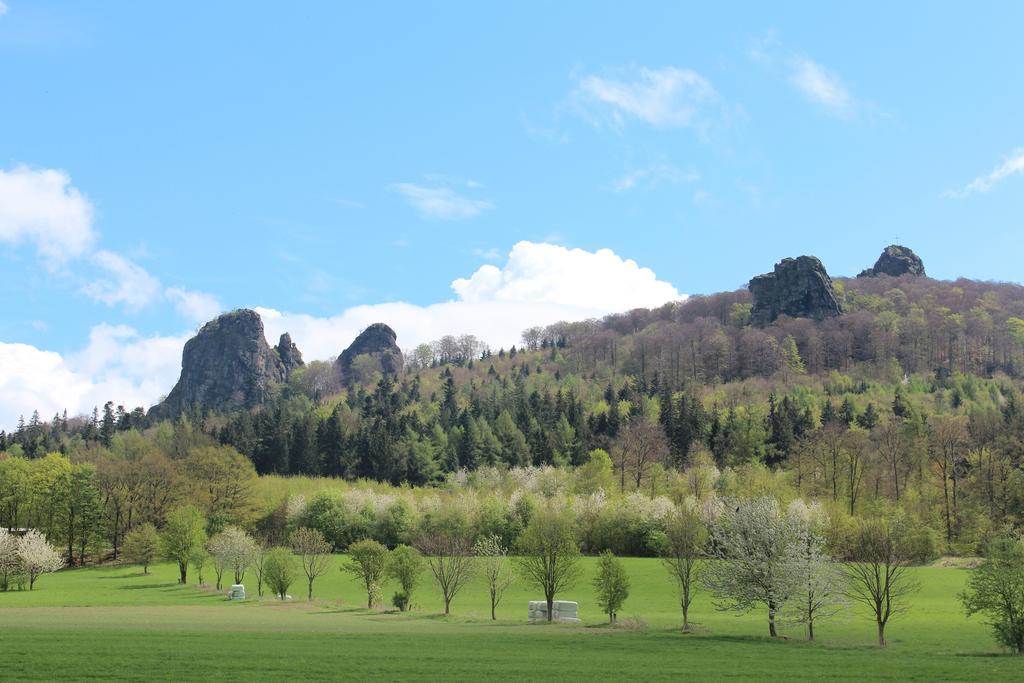 Ferienwohnung Moos-Hochsauerland Wiemeringhausen Kamer foto